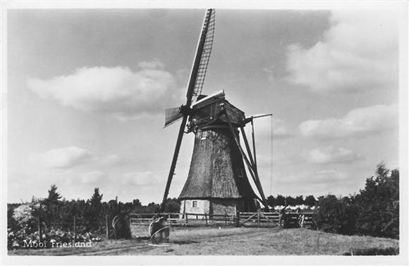 De Gooijer, , Foto: ? (verzameling Albert-Jan Veening). | Database Nederlandse molens